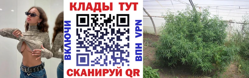 Купить закладку Кокаин  Псилоцибиновые грибы  А ПВП  Бошки Шишки  Гашиш  Мефедрон  Прокопьевск