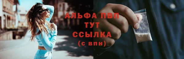 Альфа ПВП Гусев