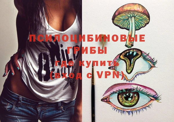Альфа ПВП Гусев