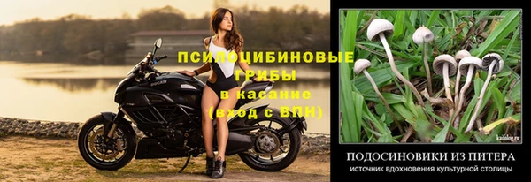 Альфа ПВП Гусев